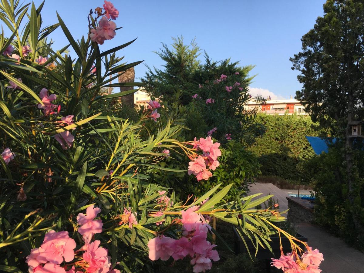 Villa Alessia Антіб Екстер'єр фото