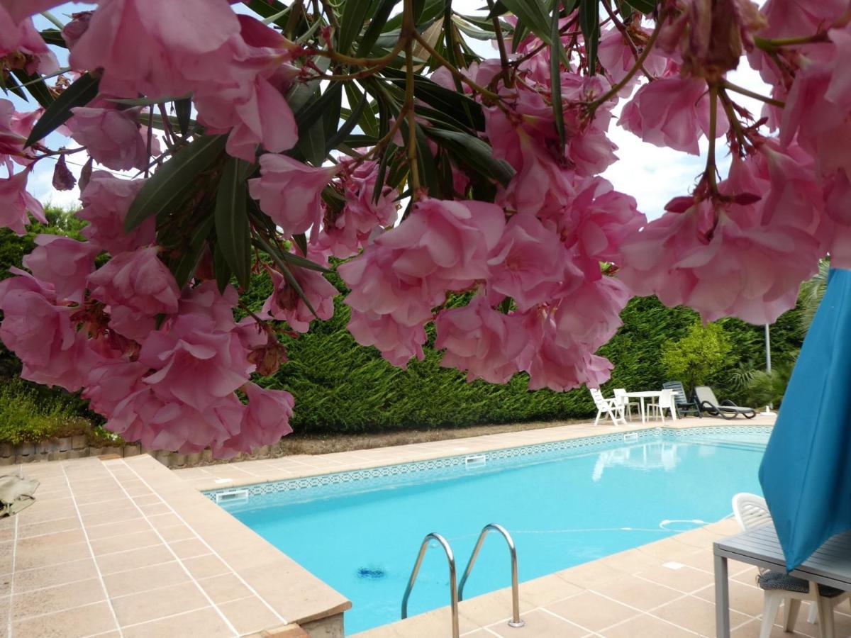 Villa Alessia Антіб Екстер'єр фото